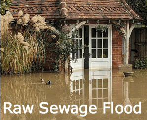 raw sewage house flood